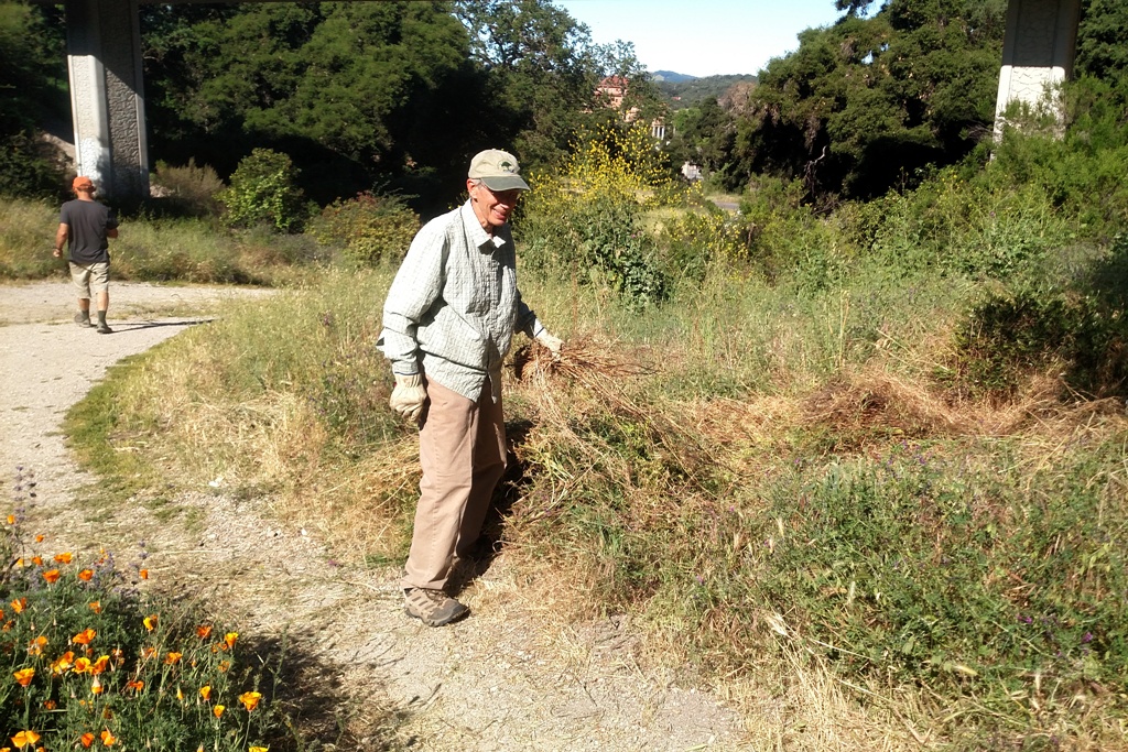 John removing weeds in the garden.